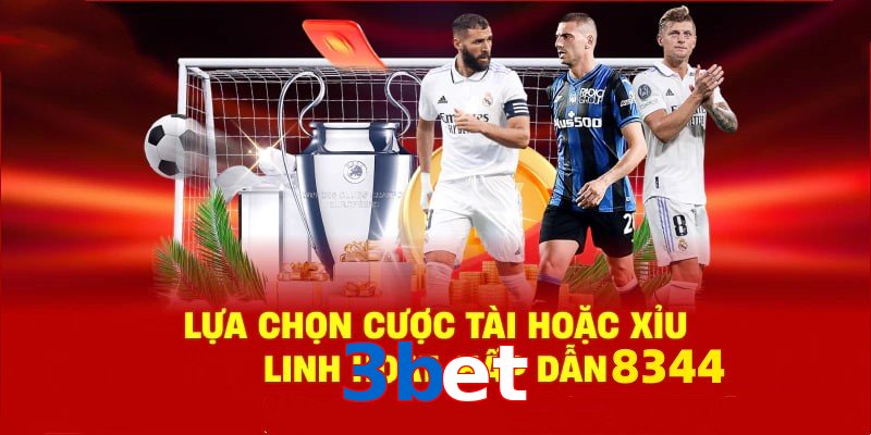 Danh mục đa dạng, đoán chuẩn là nhận tiền